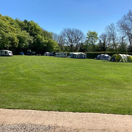 Hotel Bank Top Camping-North York Moors With Pitches For Caravans, Camper Vans And Tents Pickering Exteriér fotografie