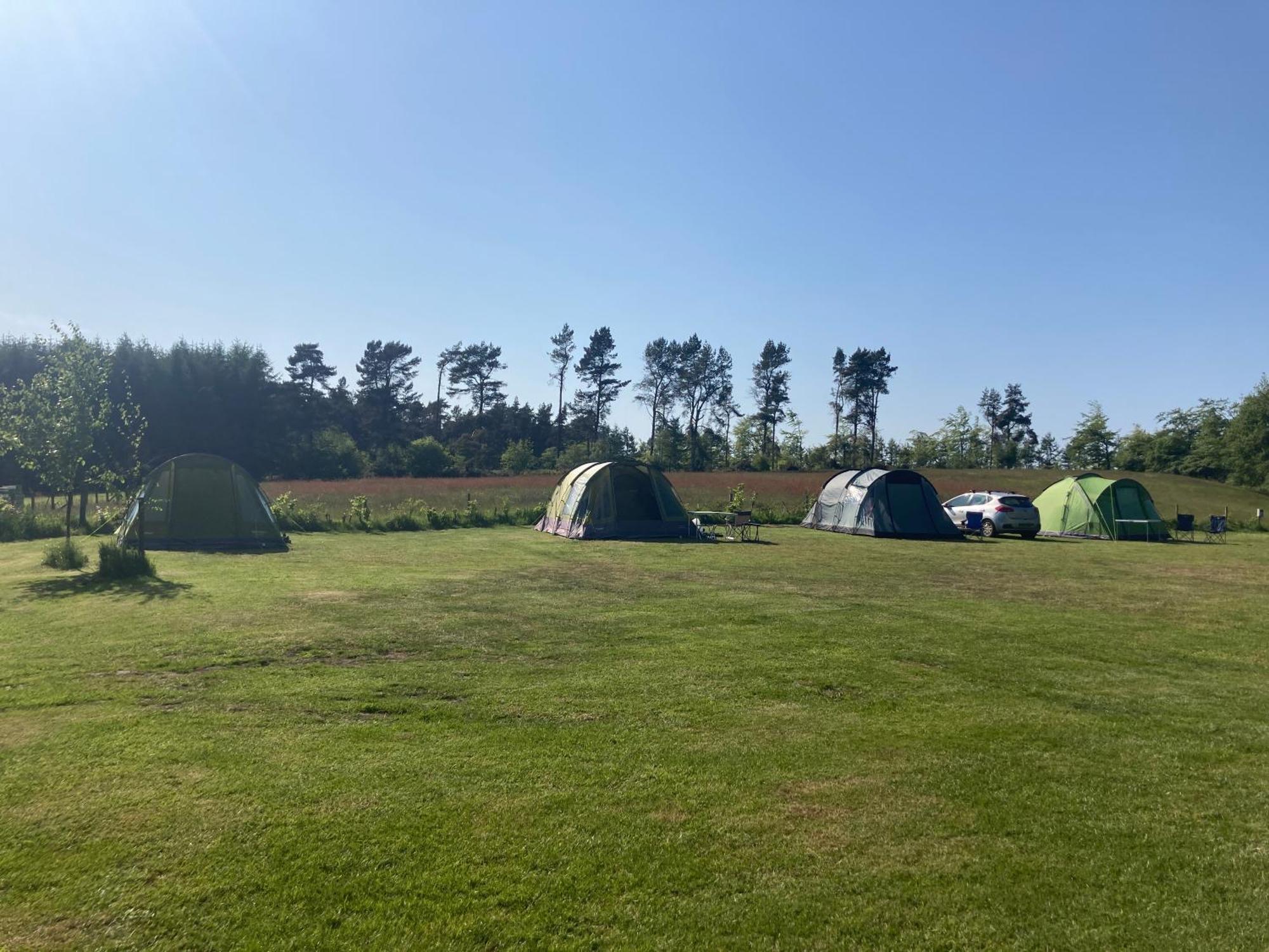 Hotel Bank Top Camping-North York Moors With Pitches For Caravans, Camper Vans And Tents Pickering Exteriér fotografie